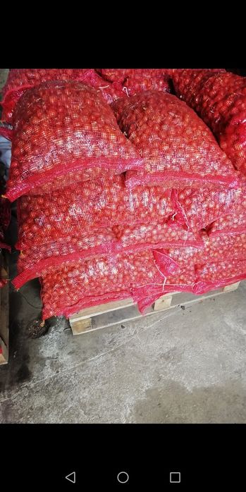 Продавам Арпаджикова Балучка