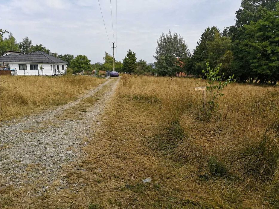 Ocna Șugatag teren intravilan 2.300 mp –300 m de băile sărate