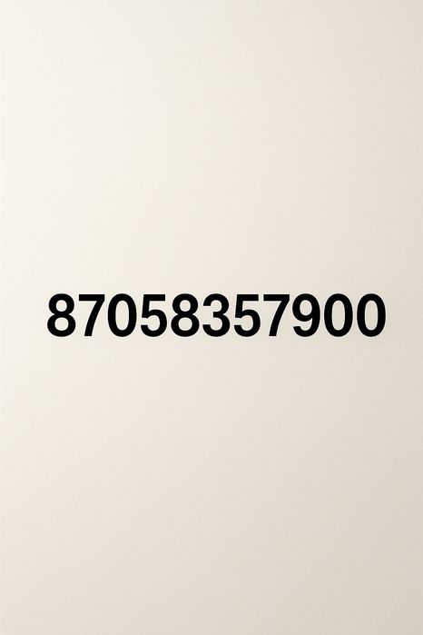 Beeline интернетін тиімді бағада сатып алыңыз!