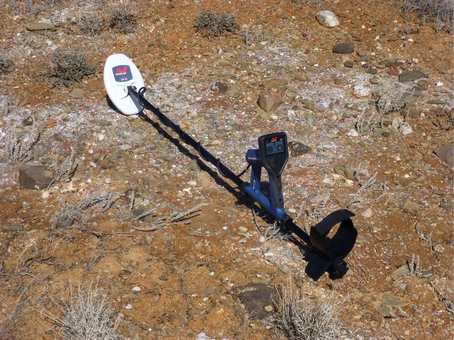 minelab gold monster 1000