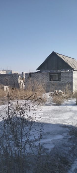 Дрм  Восточный  зимний вариант