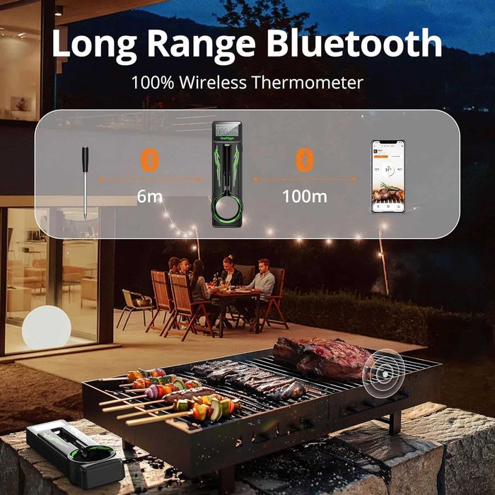 CharMeter FNT21 безжичен термометър за месо Bluetooth 100м дигитален