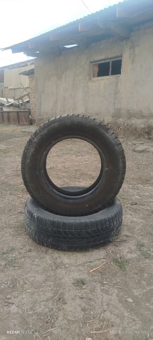 Зимний балон тунган