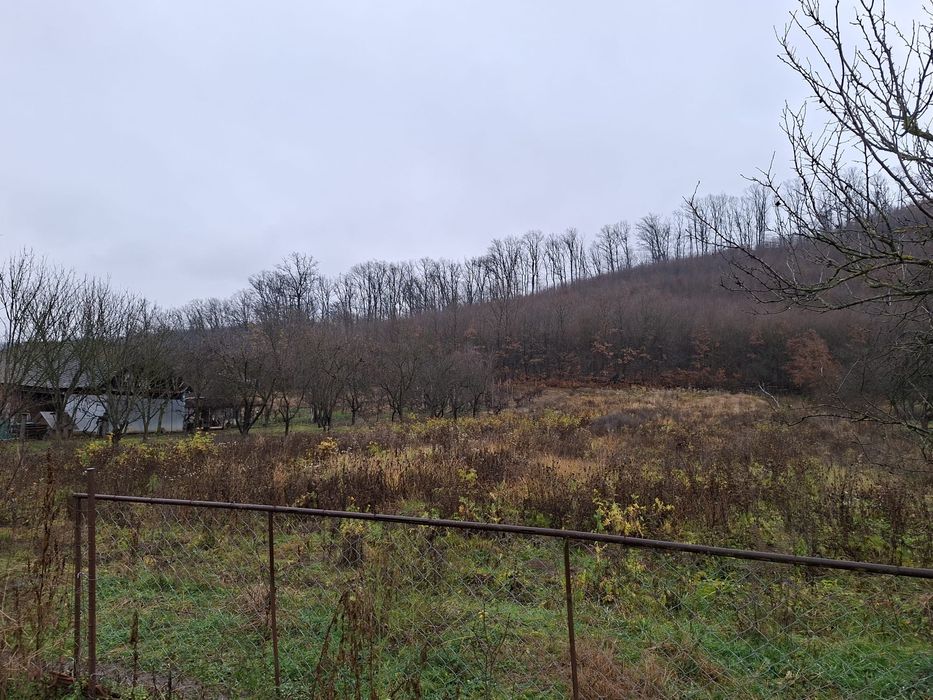 Vând casă cu teren intravilan