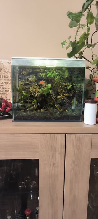 Fluval Flex 34 л.