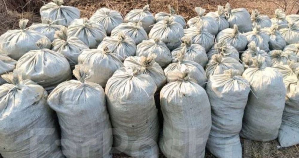 Навозз сатыладыы