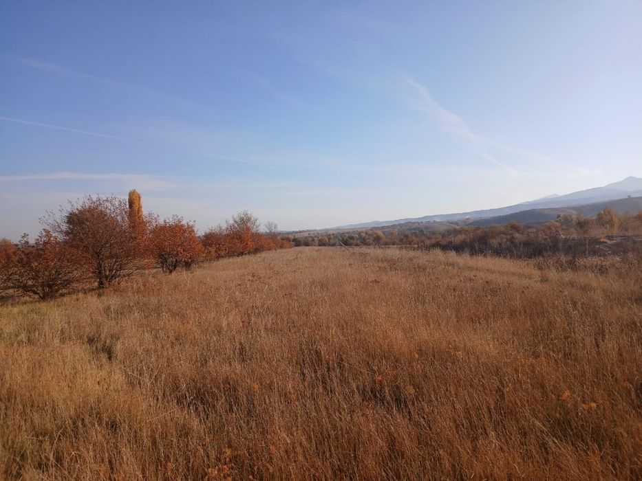 Жер земля кх 75 соток