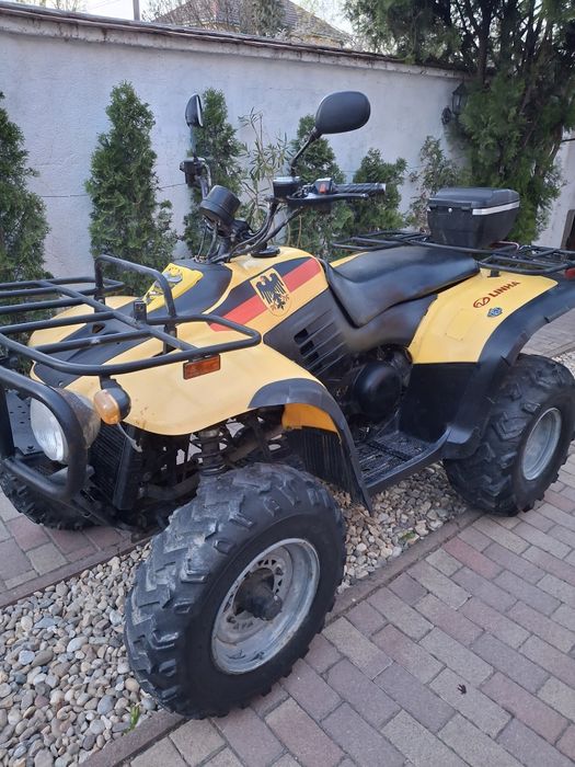 ATV Linhai 300 cm2