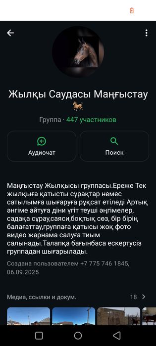 Айғыр кунан құлын группа