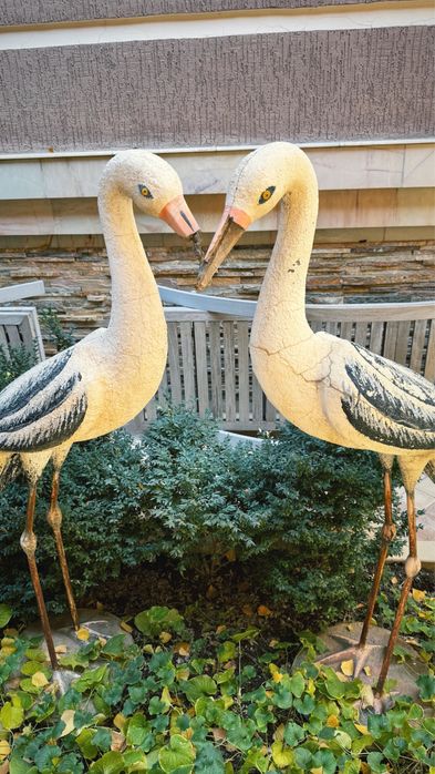 Продам аиста