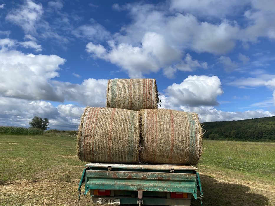 Vând baloți lucernă