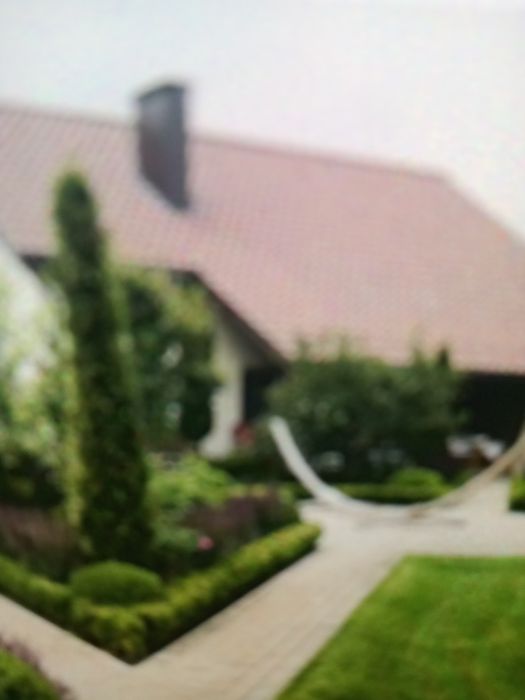 Ландшафтный дизайн обучение онлайн оффлайн практика