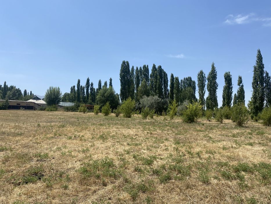 Земельный участок 40 стоток Каскасу