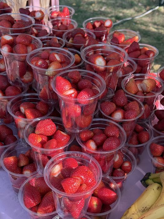 Аренда шоколадного кейтеринга/фонтана