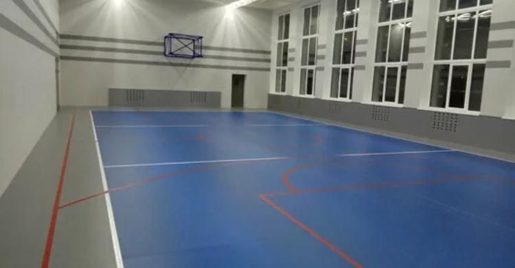 Спортивный ленолеум