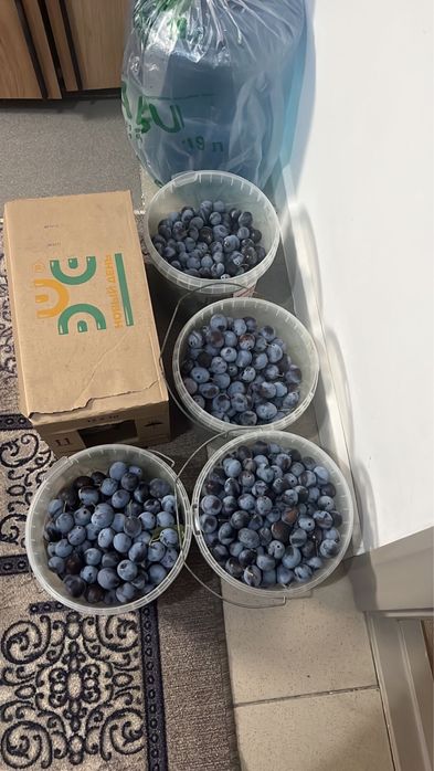 Продаю дом Акжар Атырау