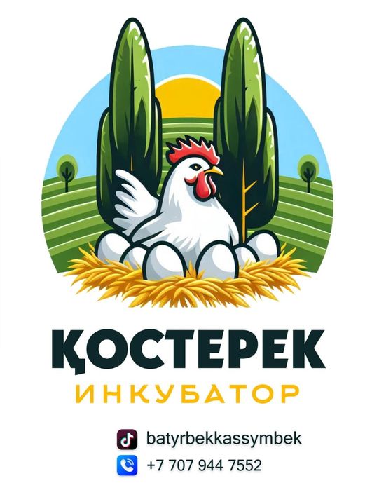Жұмыртқа сатылады