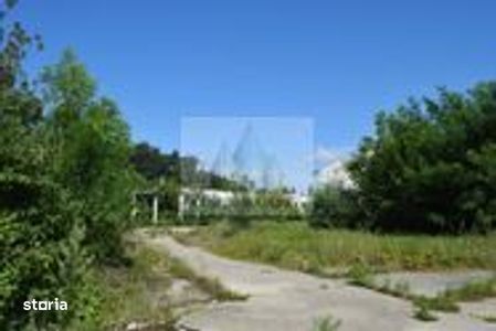 Proprietar vand 50.500 mp cu hale • Acces rutier și feroviar