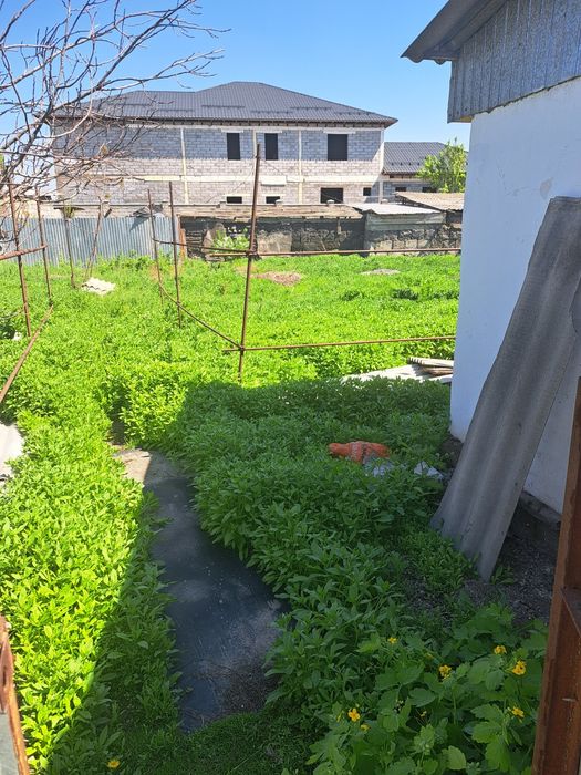 Продам дом в залинии