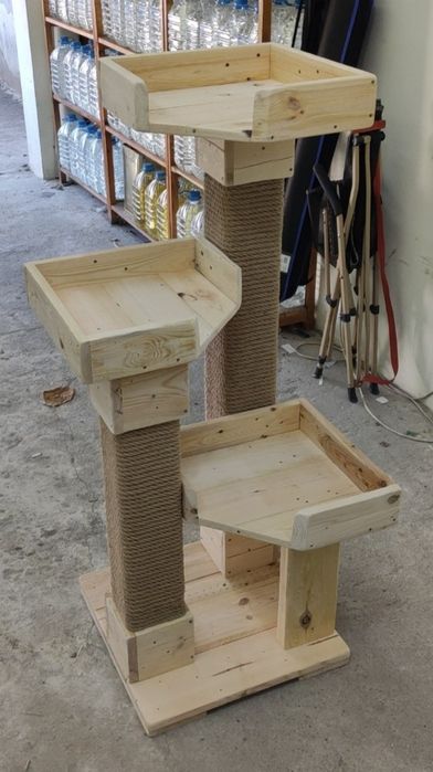 Котешка катерушка дърво