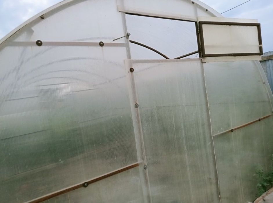 Теплицы. Жылыжай