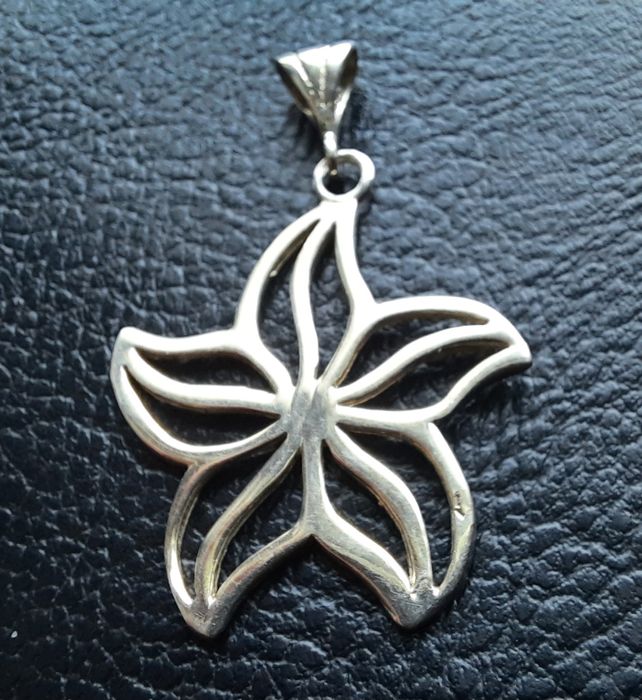 Сребърна висулка- морска звезда !
