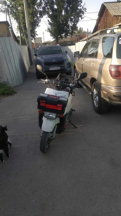 продам мопед ямаха гир