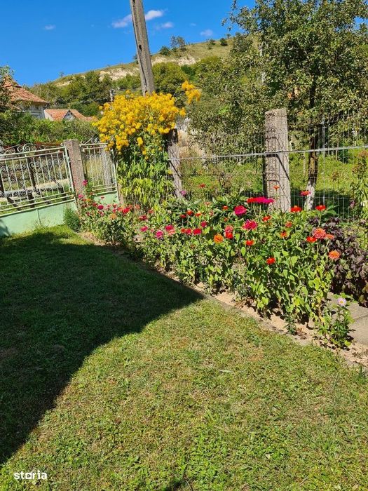 Casa P+1+M in Brebi,Salaj cu 19,32 ari teren+garaj+anexe de 240 mp