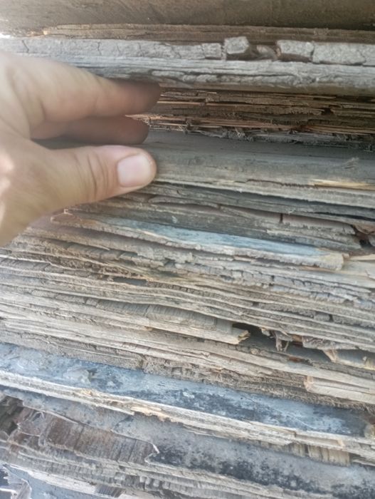 Finskiy. Faner sotladi.