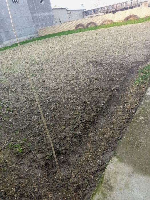 Тошкет шахрида  1 сотихи йер 11минг$ доллордан курук  йер сотилади