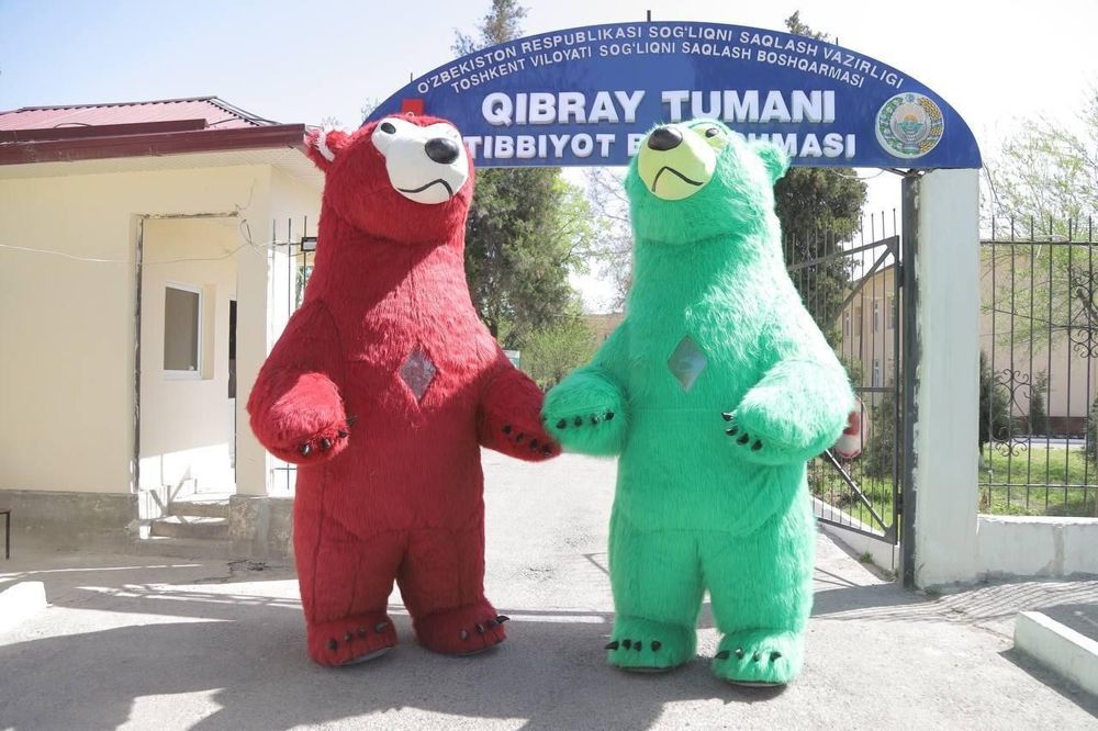 2 ta Kotta. 2 ta teddy Ayiqlar sotiladi .