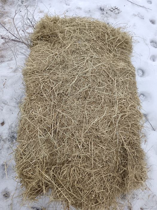 Шөп сатылады 1500 теңге