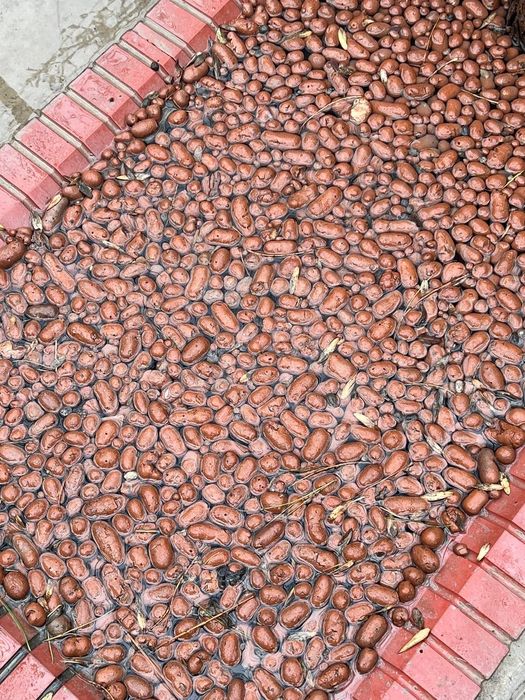 Керамзит Охак Завот Самарканд