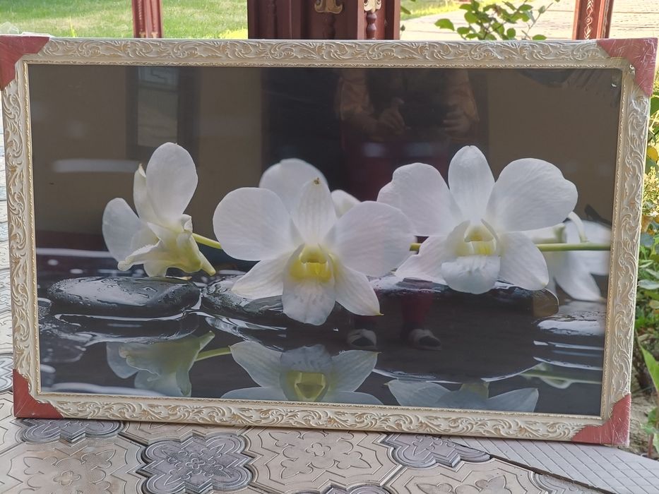 Картина новая красивый с рисунком