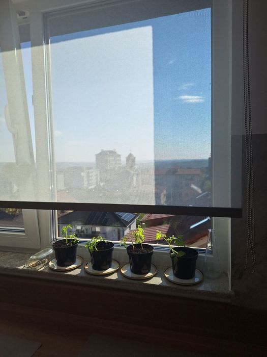 Roleta screen 175x190 noua