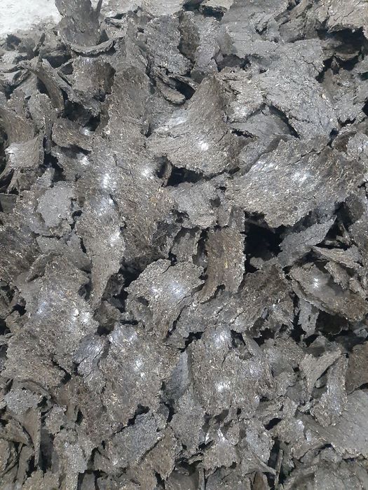 Chorva mollari uchun sifatli semichka shroti!