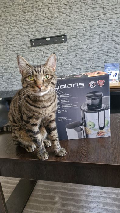 Соковыжималка (2 раза использовалась)