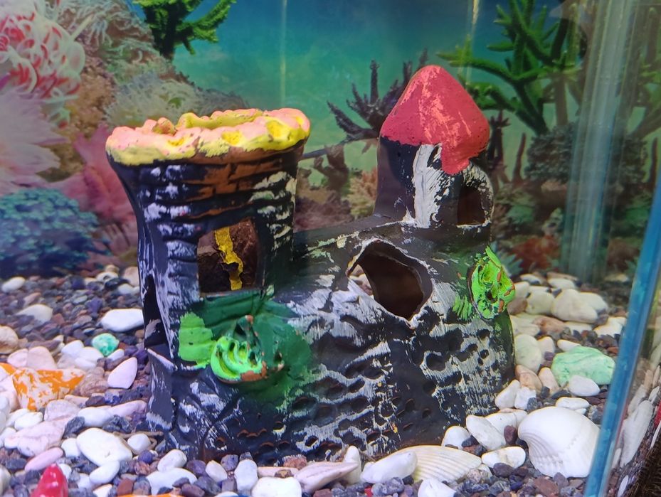 Akvarium sifatli sokin juda chiroyli ideal tanlov zo'r dizayn