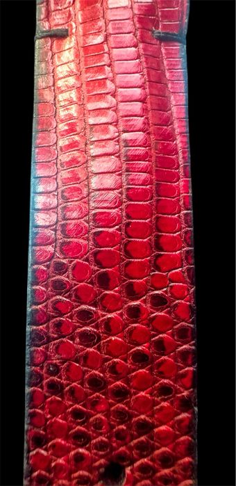 Zenith Pilot GMT Limited до 31.12.2025 топ цена