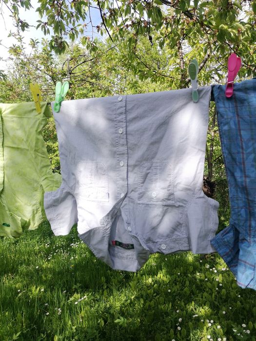 Лот Момчешки ризки къс ръкав