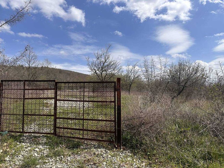 Продава се Парцел в с. Веселие, Област Бургас - 1569 кв.м за 16 €/кв.м - Снимка #4