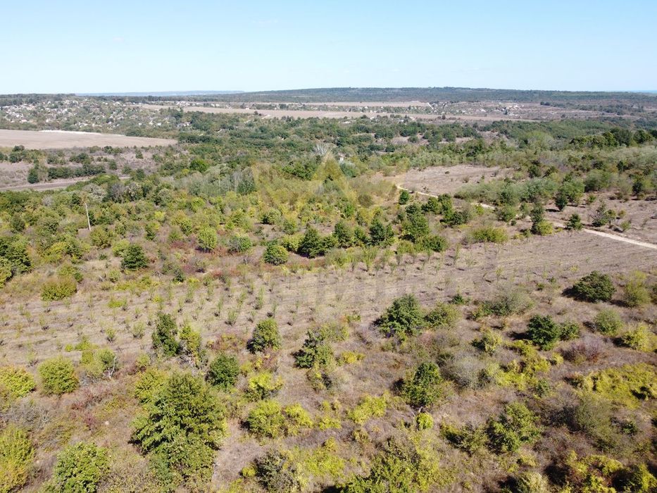 Продава се Парцел в с. Приселци, Област Варна - 11399 кв.м за 7 €/кв.м - Снимка #6