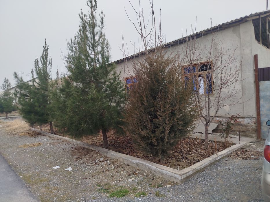 Уй сотилади миндонобод спутник