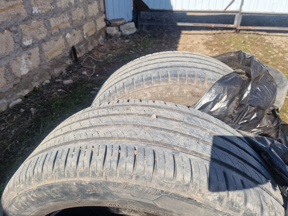 225х55х17 лето шины