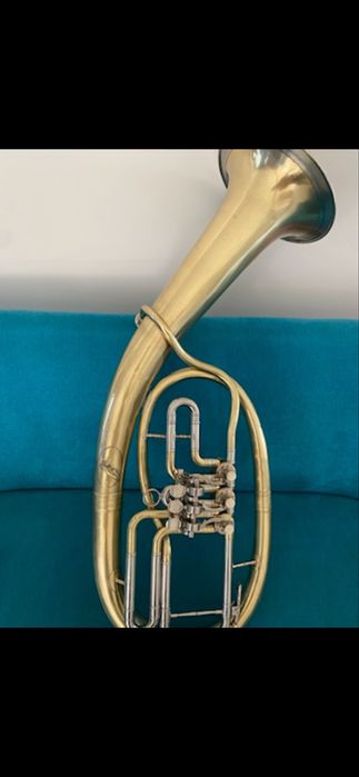 Basflighorn Doina reconditionat