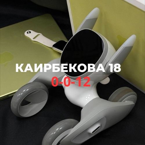 Petbot Loona.