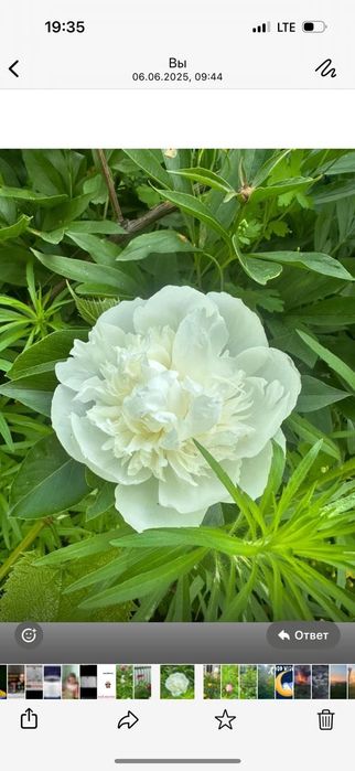 Продам дом , дача.