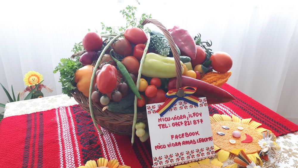 Vand rasaduri legume : Rasad de rosii \ tomate castraveti ardei vinete