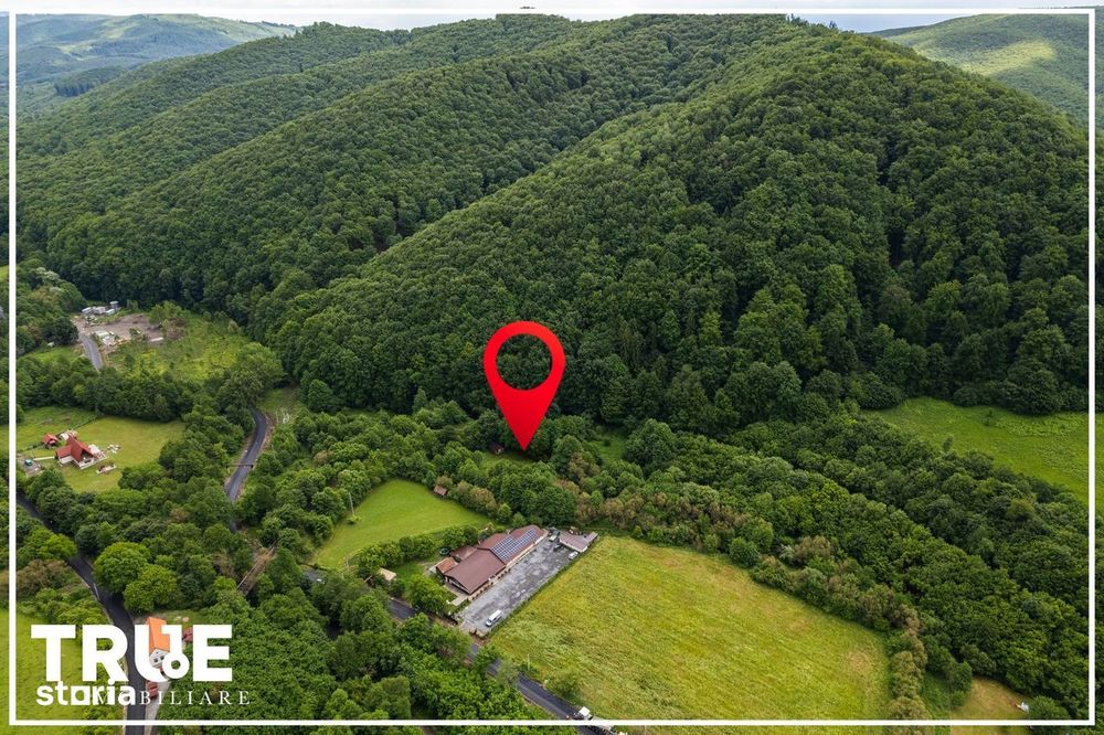 Teren intravilan 2.800 m² în Câmpu Cetății – liniște și natură