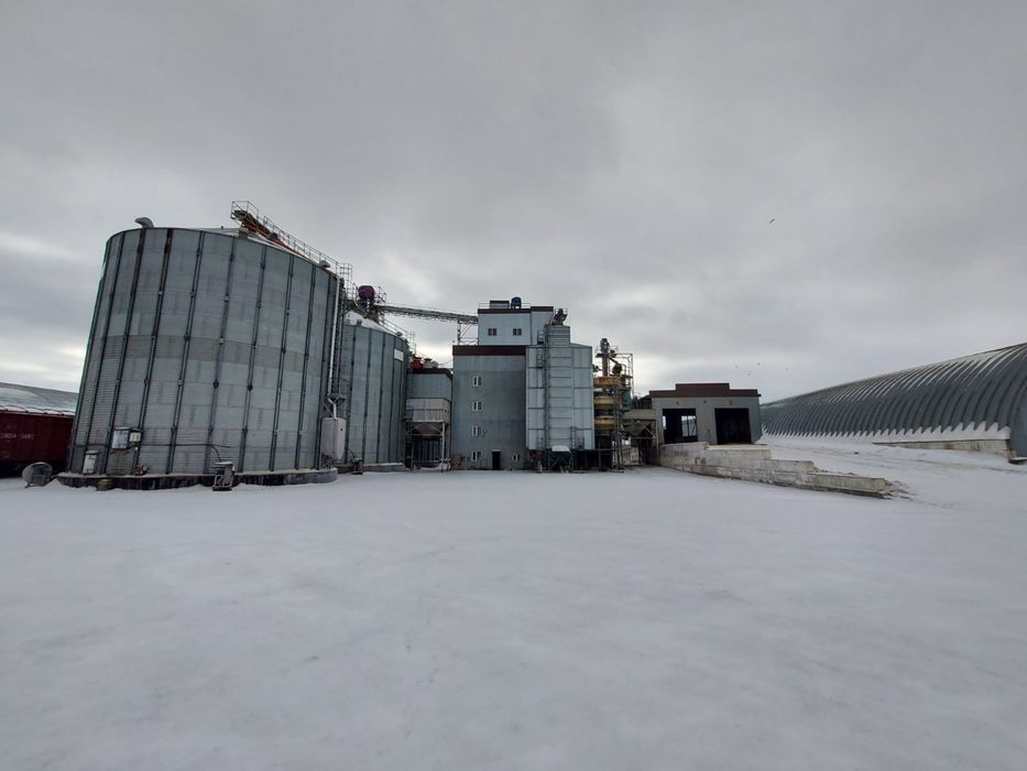 Услуги элеватора (приемка, сушка)